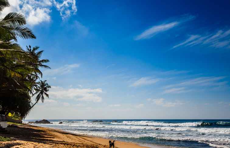 Пляж хиккадува шри. Хиккадува Шри Ланка. Унаватуна Шри Ланка. Пляж Хиккадува Шри Ланка. Пляжи Арагум Бэй Шри Ланка.